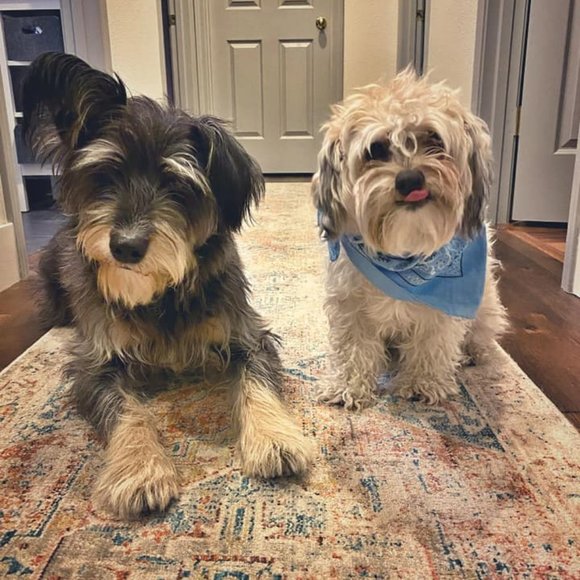 Hello! Welcome to my crazy closet!! - Picture 3 of 14